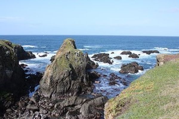 EMERALD DOLPHIN INN (Fort Bragg)